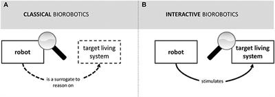 The Logic of Interactive Biorobotics